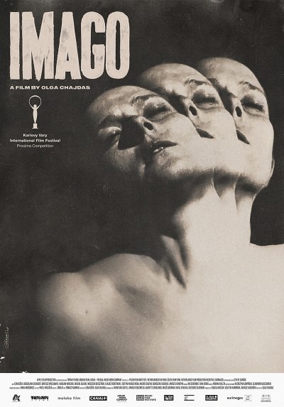 Plakat: 38. TNF - Imago