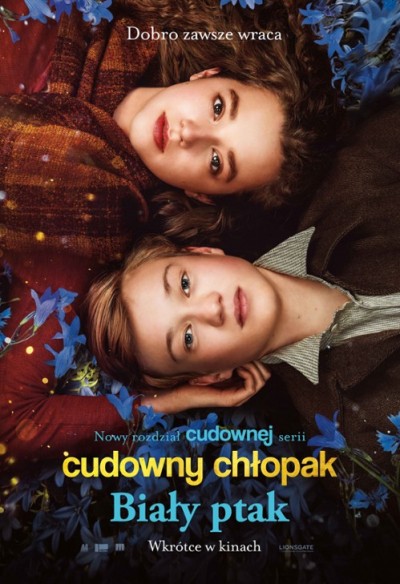 Plakat: Cudowny chłopak. Biały ptak