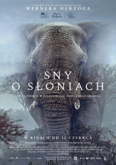 Plakat: Sny o słoniach