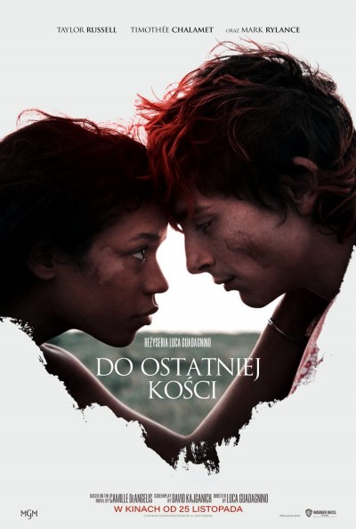 Plakat: Do ostatniej kości